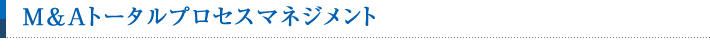 M&Aトータルプロセスマネジメント